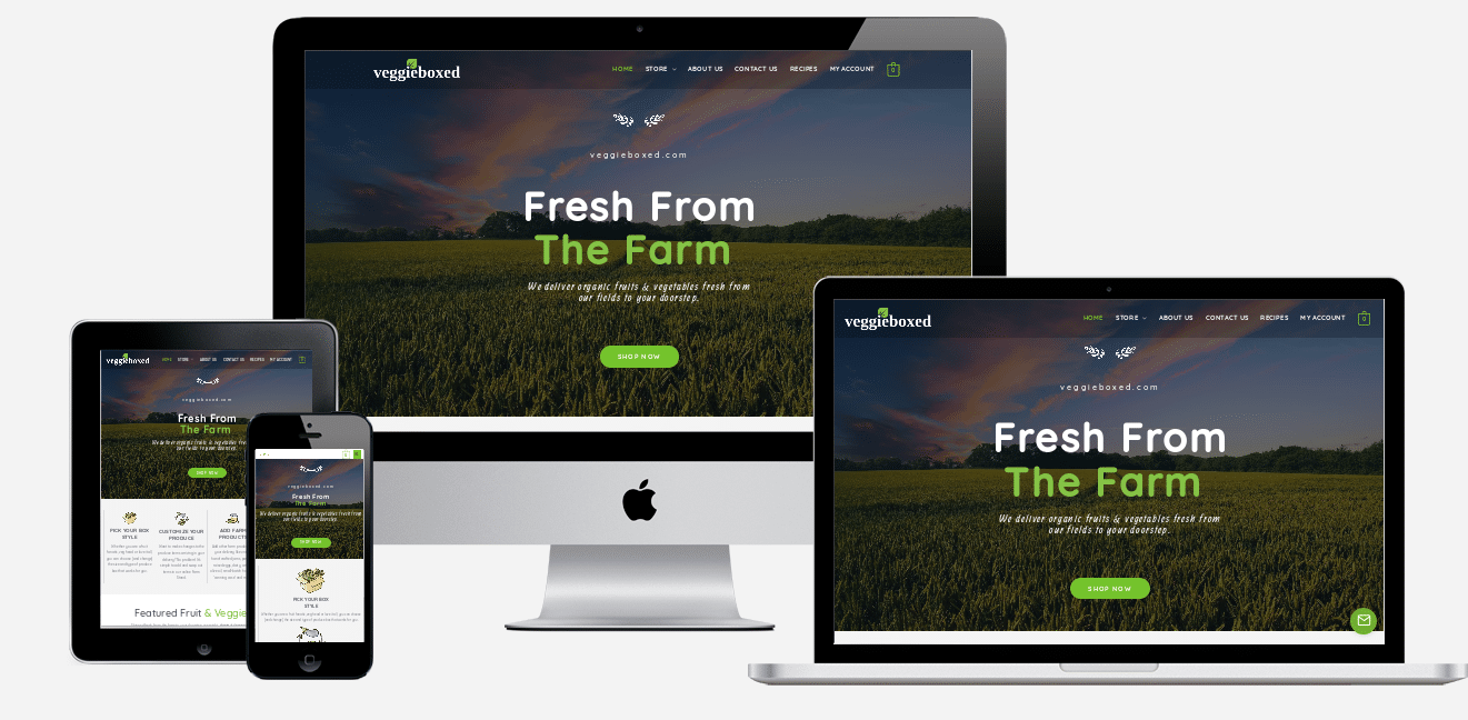 Veggie Boxed website design holiday florida website designers